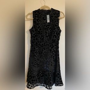 Ann Taylor Dress 2 Petite Black Animal Print NWT
